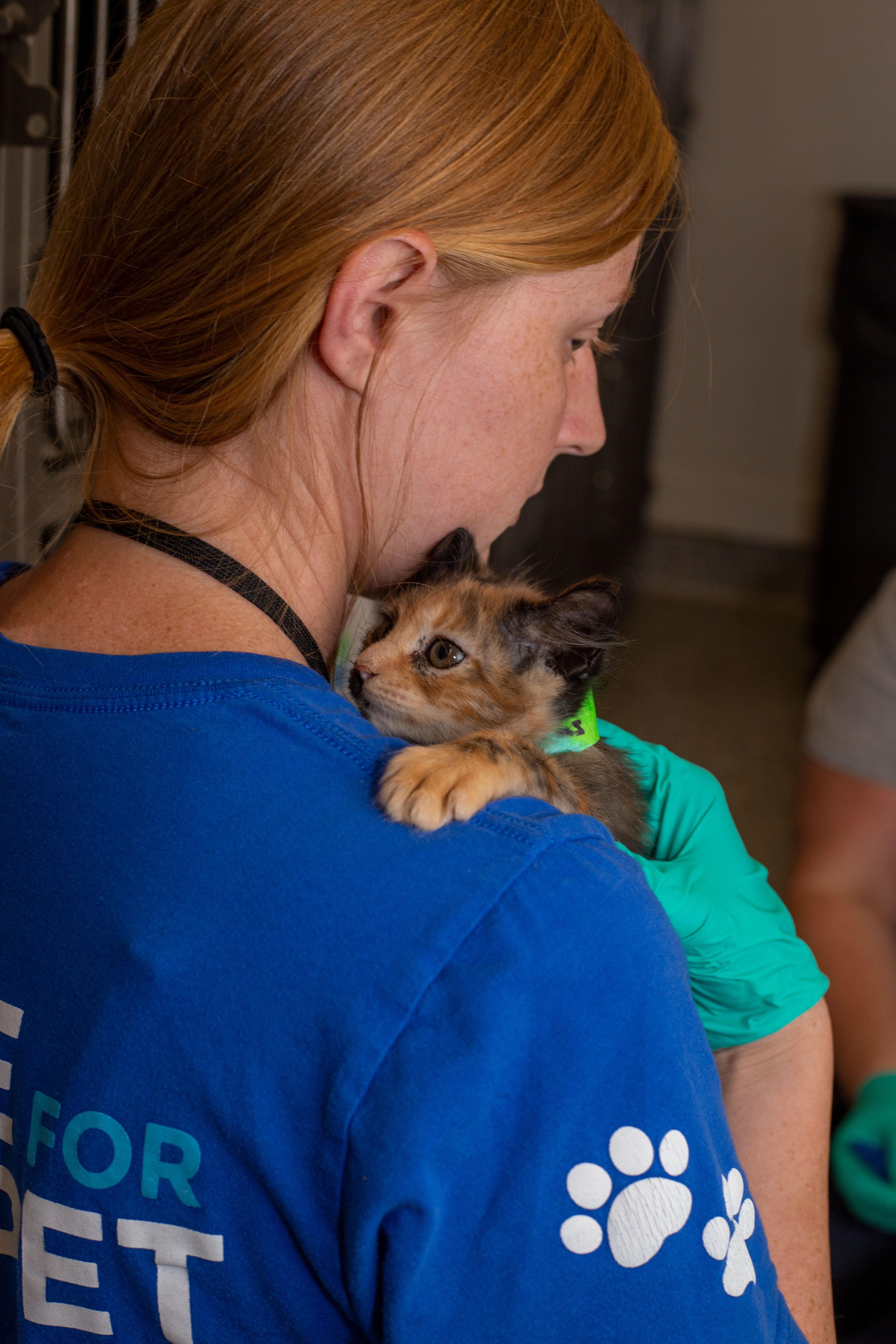 Featured image for “Hurricane Ida animal rescues arrive at Young-Williams Animal Center, 100 fosters step up”